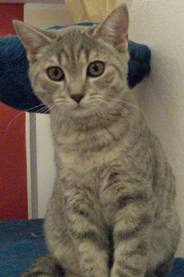 Lucie