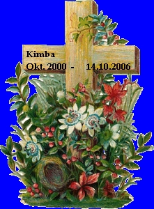 Kimba. Oktober 2000 - 14. Oktober 2006