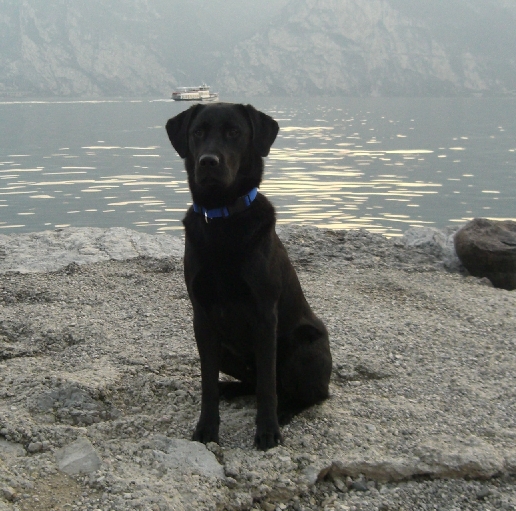 Am Gardasee